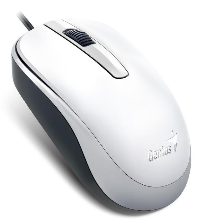 Genius Computer Technology DX-120 Optische Muis, USB Type-A, 1000 DPI, Geschikt voor links- en rechtshandigen