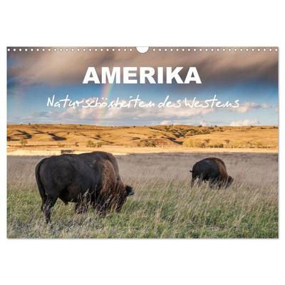 Amerika - Naturschönheiten des Westens (Wandkalender 2026 DIN A3 quer), CALVENDO Monatskalender