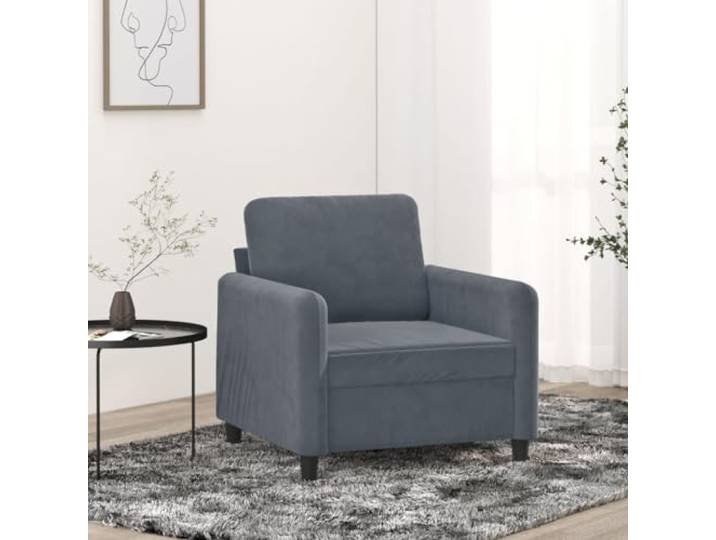 HEFZGDB Dunkelgrauer Samt Sessel 60 cm Breite mit Metallgestell Bequem Polsterung Lesestuhl Entspannung Wohnzimmer