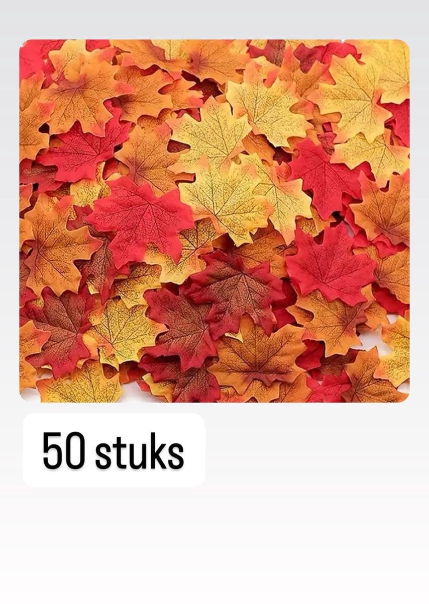 Akyol Herfst decoratie set met 50 stuks gekleurde esdoornbladeren in geel, oranje en rood, 8 x 6,5 cm