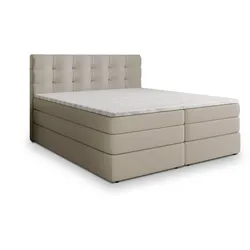 BOXSPRINGBETT AREZI 140x200 cm mit Matratze und Topper - Beige