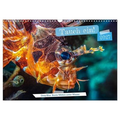 Tauch ein! (Wandkalender 2027 DIN A3 quer), CALVENDO Monatskalender