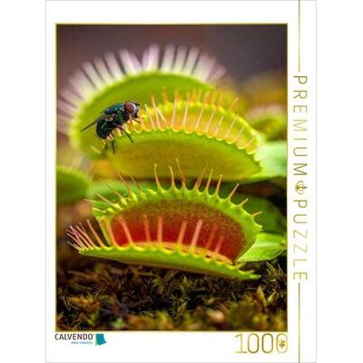 CALVENDO Puzzle Venusfliegenfalle mit Mittagessen | 1000 Teile Lege-Größe 64x48cm Foto-Puzzle für glückliche Stunden