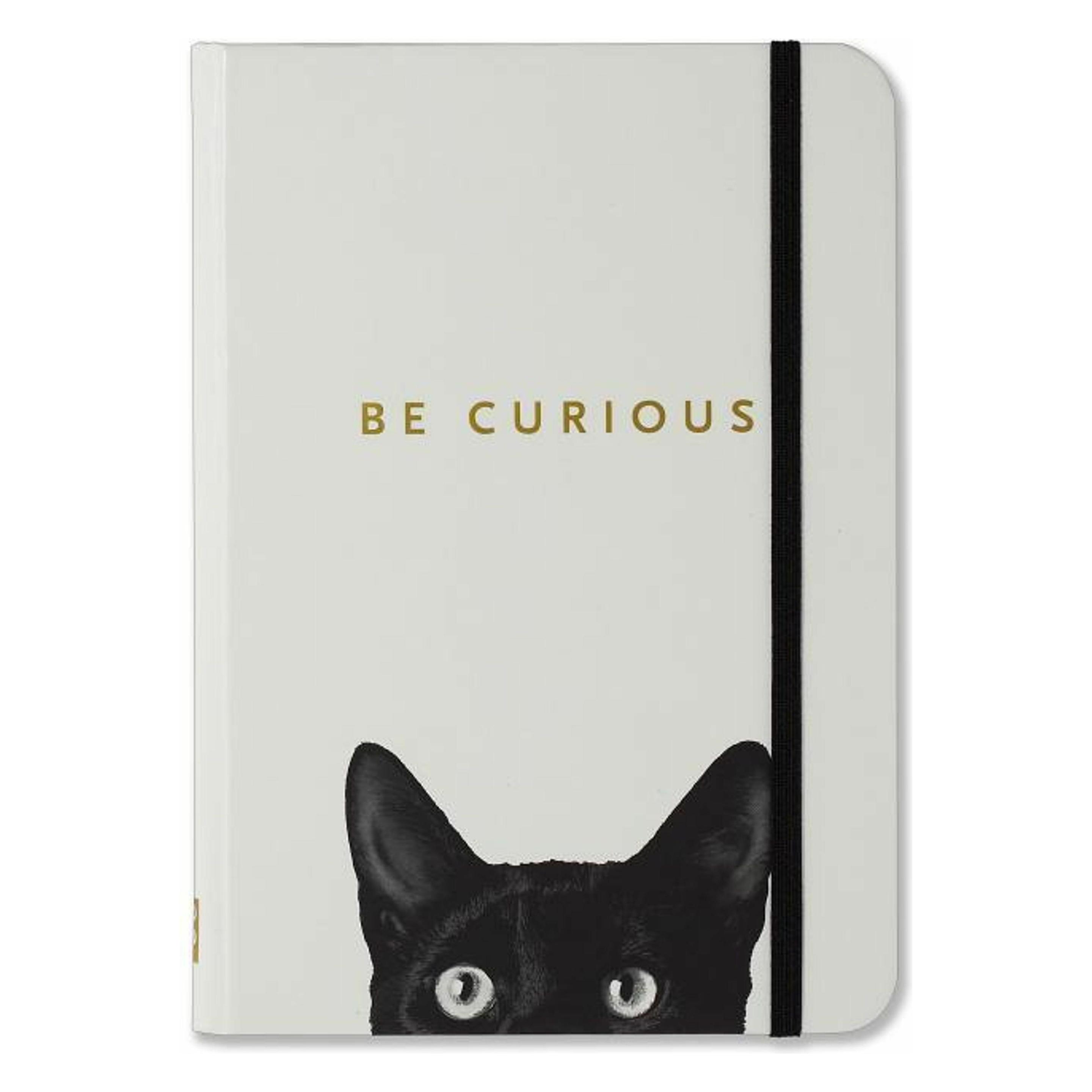 Peter Pauper Curious Cat Journal (Diary, Notebook) (Liniert, Harter Einband) (45521295)