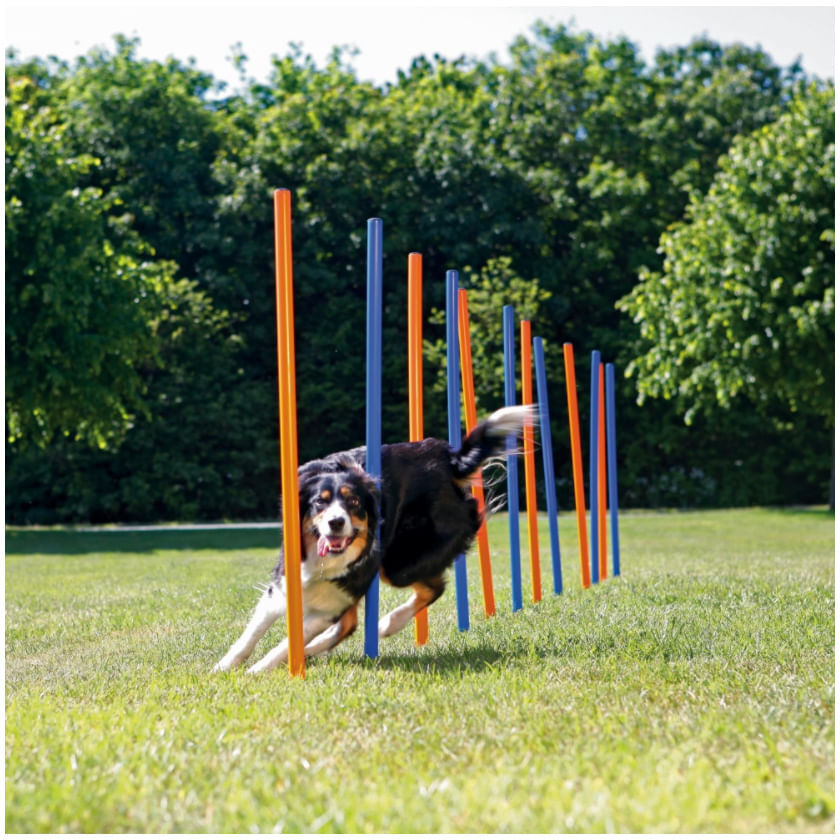 Trixie Gioco Slalom Agility per Cane 1PZ