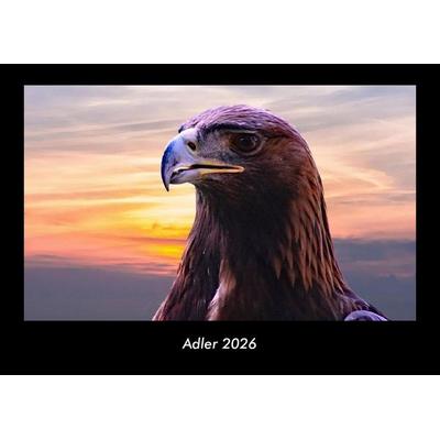 Adler 2026 Fotokalender DIN A3