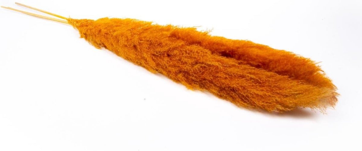 Gedroogd Pampasgras Boeket met Pluimen - Oranje - 140 cm