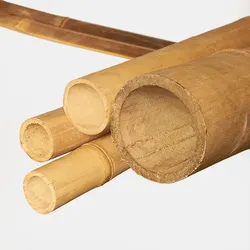 BambusBASIS Bambusrohre hell (Apus), 1500mm, 8-10cm