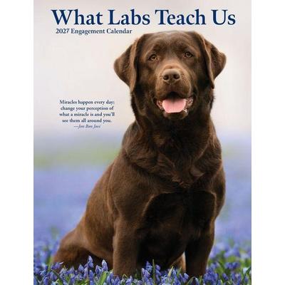 What Labs Teach Us 2027 6.5 X 8.5 Engagement Calendar