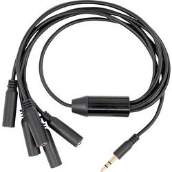Shelly Splitter 1 zu 5 - 3,5mm Jack Splitter Shelly_The_Pill_S1T5J