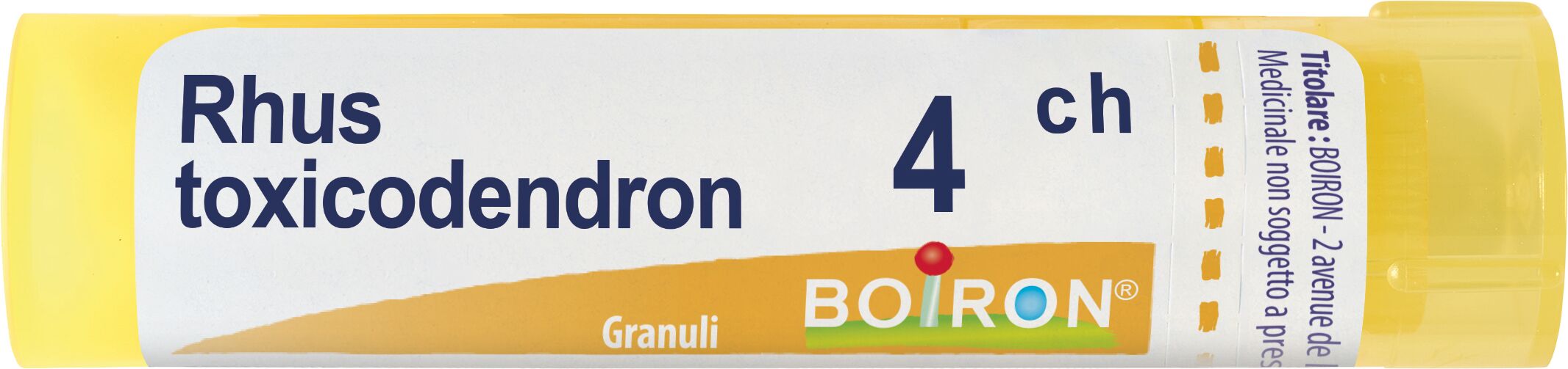 Rhus Toxicodendron 4ch Granuli Multidose Boiron