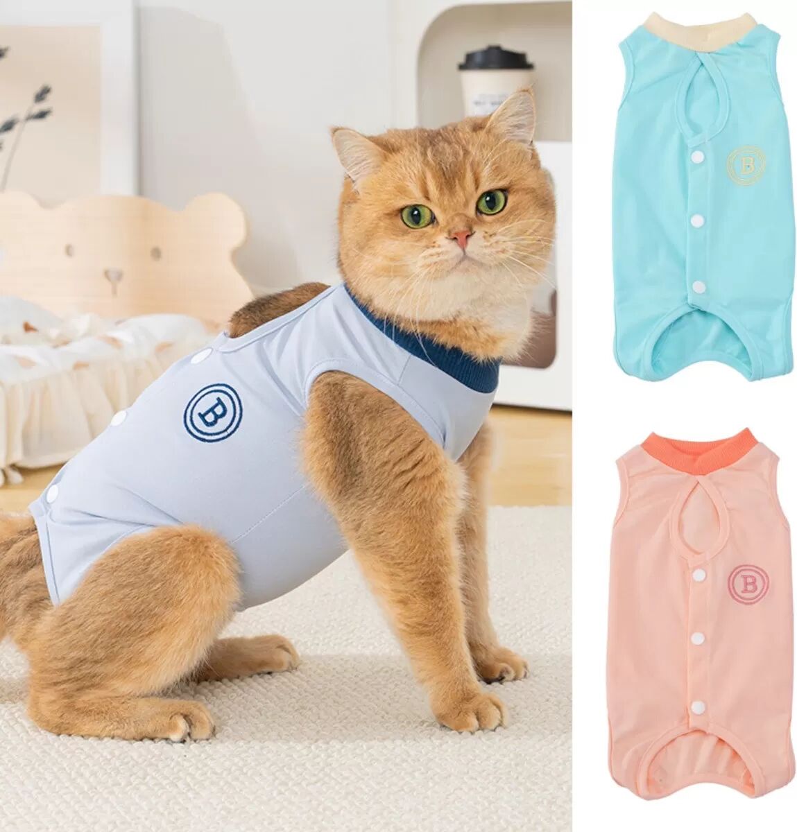 INF Combinaison de récupération estivale en polyester pour chat - Anti-léchage post-opératoire et post-partum (Bleu / Bleu M