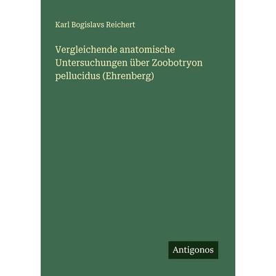 Vergleichende anatomische Untersuchungen über Zoobotryon pellucidus (Ehrenberg), Taschenbuch von Karl Bogislavs Reichert, Antigonos Verlag,
