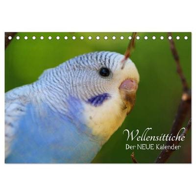 Wellensittiche - der NEUE Kalender (Tischkalender 2026 DIN A5 quer), CALVENDO Monatskalender