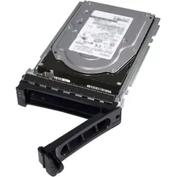 Dell 2TB 7.2K RPM NLSAS 12Gbps (2 TB, 3.5"), Festplatte