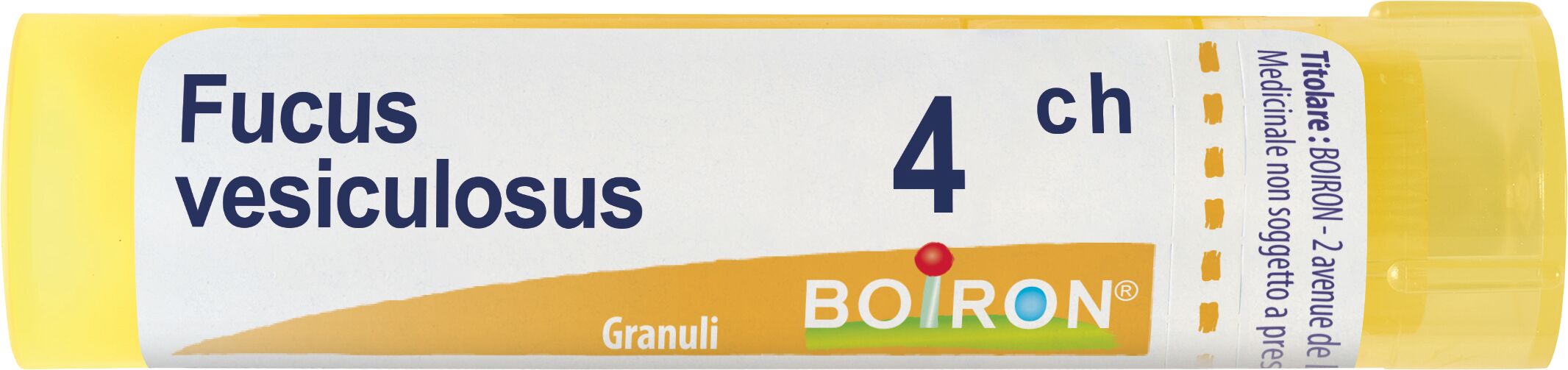 Boiron Fucus Vesiculosus 4 Ch Tubo 2020