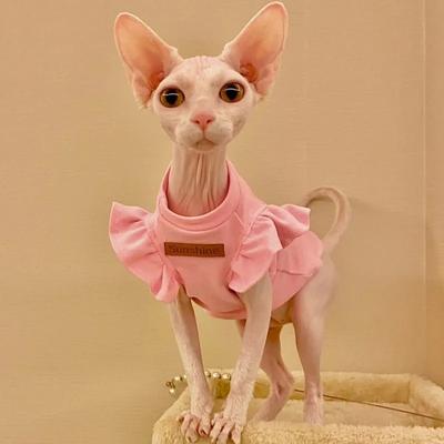 Happy Pet Pantry Summer Luxury Sphynx Cat Clothes: Stylish Attire XL 1