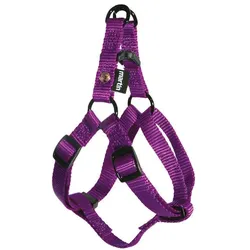 Martin Sellier Baud S (50, Hund, Spazieren), Halsband + Leine