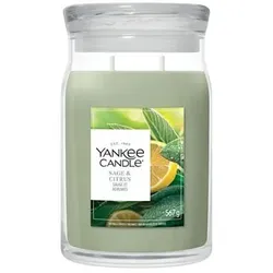 YANKEE CANDLE® Duftkerze Signature Line Large Jar Sage & Citrus