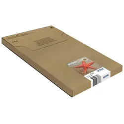 Epson Original Easy Mail Packing 603XL Seestern Druckerpatronen 4er Multipack BK/C/M/Y (C13T03A64510)