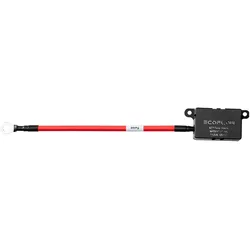 EcoFlow, Power Station Zubehör, Alternator Charger Fuse Cable