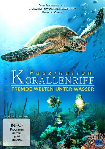 Faszination Korallenriff - Fremde Welten unter Wasser - Preis vom 30.09.2026 22:30:23 h