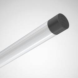 Trilux 8070740 LED-Feuchtraumleuchte LED LED 44 W Weiß Grau