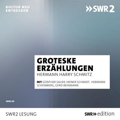 Groteske Erzählungen - Hermann Harry Schmitz, Audio, 9783956158896