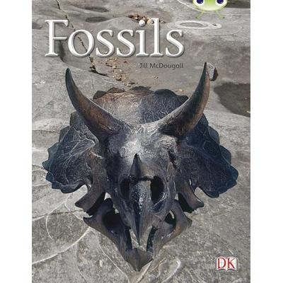 Bug Club Guided Non Fiction Year Two Gold A Fossils, Taschenbuch von Jill McDougall, Pearson ELT, 978-0-433-00442-4