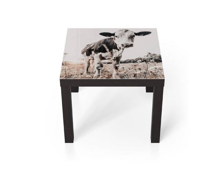 DEQORI Couchtisch 'Ländliche Abendstimmung', Glas Beistelltisch Glastisch modern