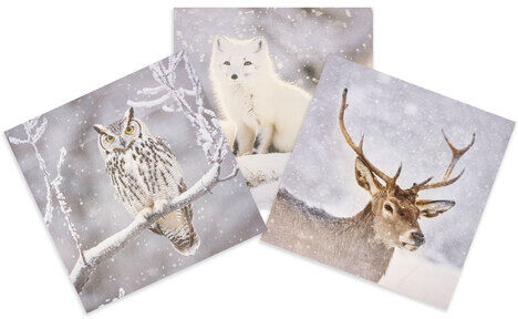 Canvas-Coupon "Schneetiere", grau-color