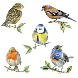 Ambiente, Servietten, Heimische Vögel (20 Stk., 33 x 33 cm)