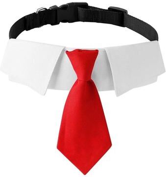 Inspired Finds ElegantPaws Dog Wedding Suit Collar With Necktie red m
