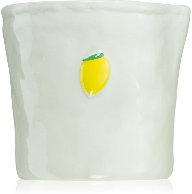 Paddywax Bistro Meyer Lemon scented candle 226 g