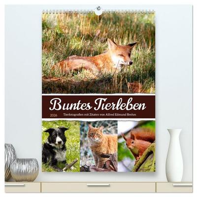 Buntes Tierleben (hochwertiger Premium Wandkalender 2026 DIN A2 hoch), Kunstdruck in Hochglanz