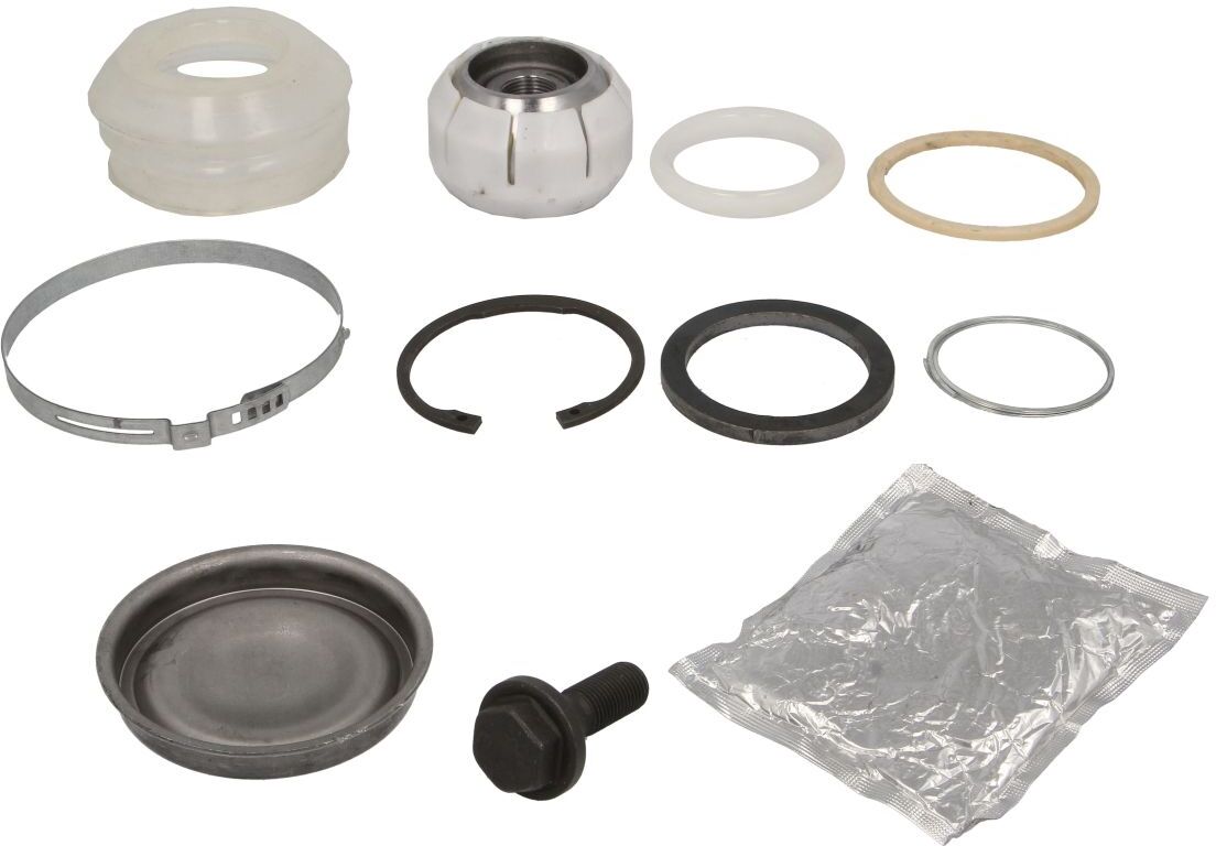 Reinhoch Kit di riparazione, braccio di controllo RH54-1007