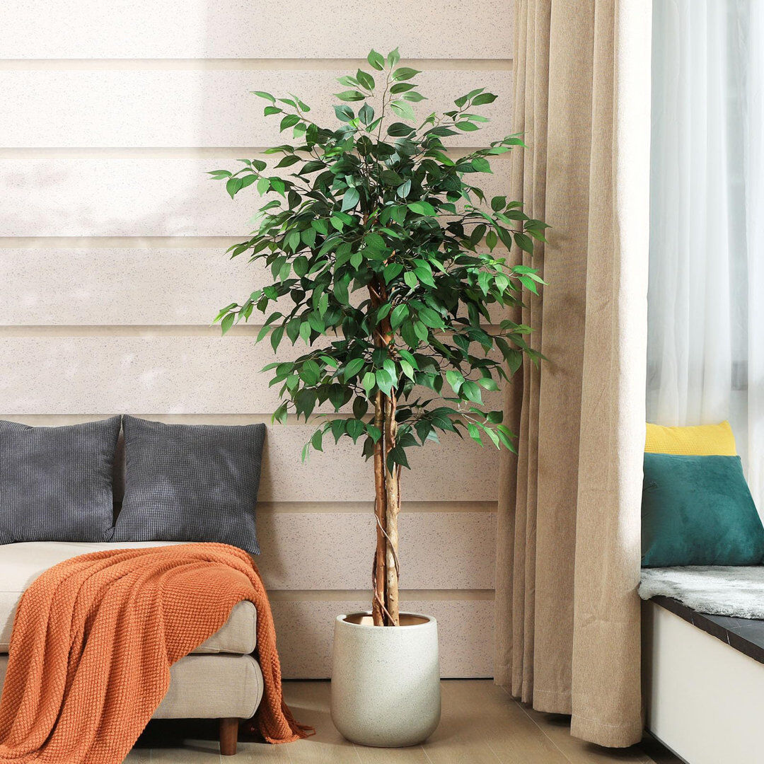 Bay Isle Home Alitza Faux Tree 150cm H x 16cm W x 16cm D
