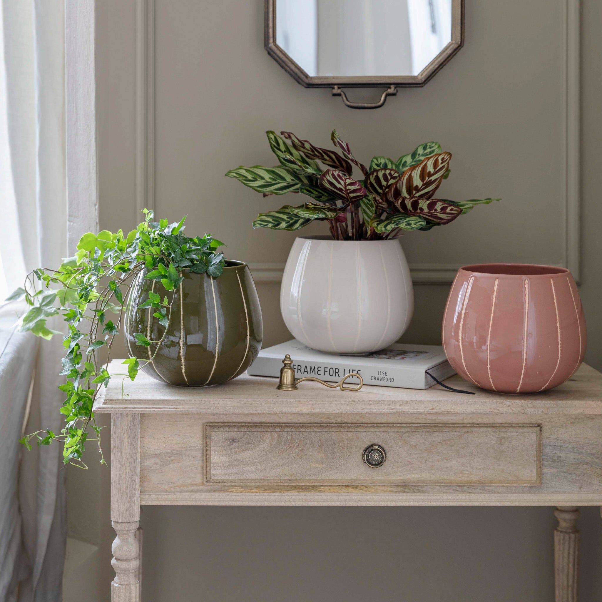 Ivyline - Nova Wax Relief Rose Planter