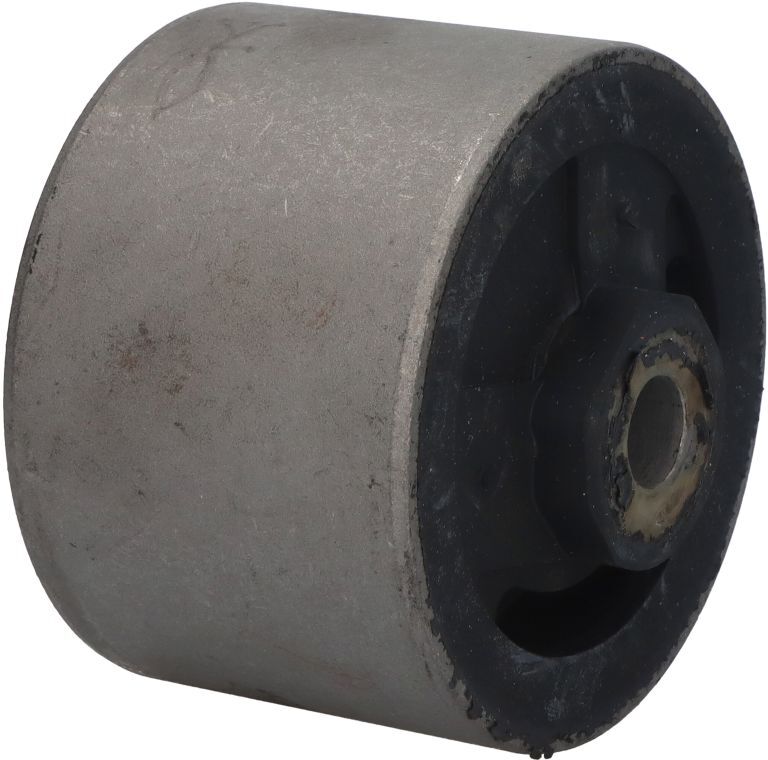 Tedgum Supporto, supporto motore 00134246