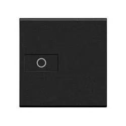 Legrand L4916M2A Axial-Wippe Licht 2-Modulig Anthrazit