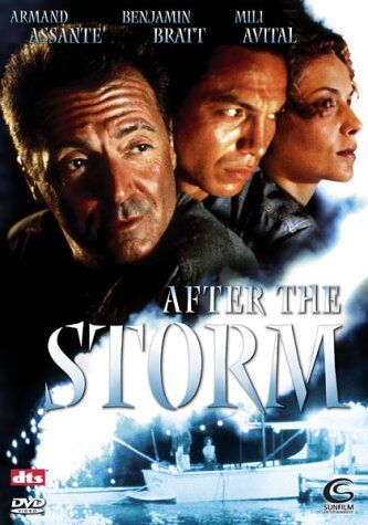 Guy Ferland - After the Storm - Preis vom 11.10.2026 03:10:56 h