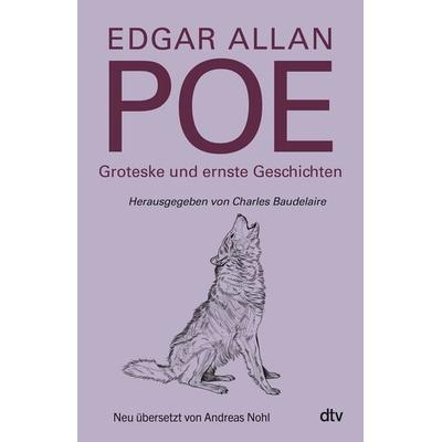 Groteske und ernste Geschichten, Gebundene Ausgabe von Edgar Allan Poe, dtv, 978-3-423-28487-5
