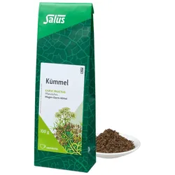 Kümmel Arzneitee Carvi fructus Bio Salus 100 g