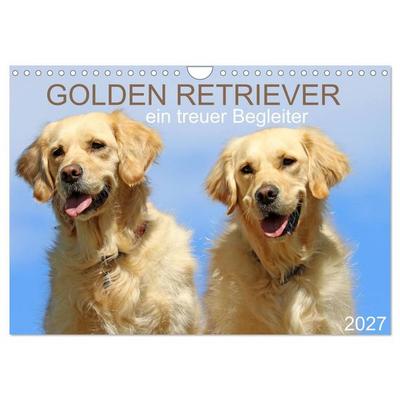 Golden Retriever ein treuer Begleiter (Wandkalender 2027 DIN A4 quer), CALVENDO Monatskalender