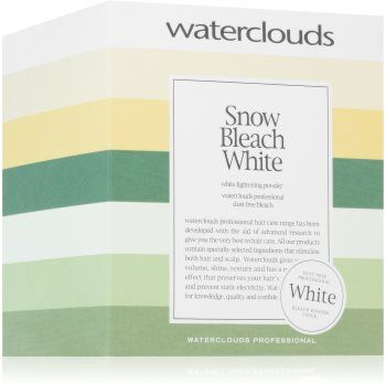 Waterclouds Snow Bleach White White Lightening Powder pó descolorante para cabelo 500 g. Snow Bleach White White Lightening Powder