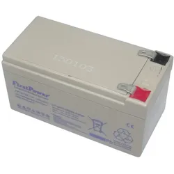 Original Schiller Blei Akku EKG AT1/SP1/P80/AT101/Argus VCM 12 – 12 V 1,2 Ah