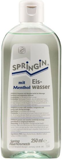 250ml Spring Eiswasser mit Menthol
