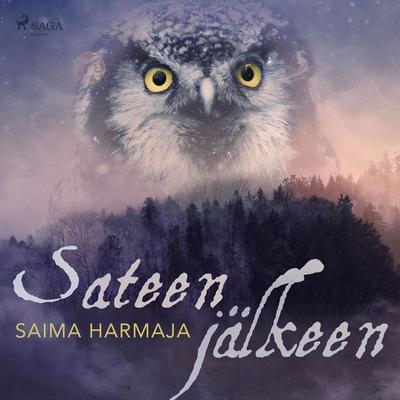 Sateen jälkeen - Saima Harmaja, Audio, 9788726248616