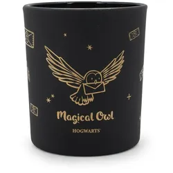 Magical Owl Black - Harry Potter™ Duftkerze 135g