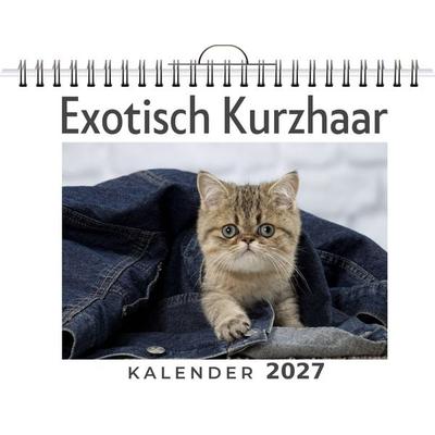 Exotisch Kurzhaar